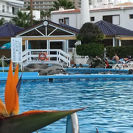 Vila Atlantis Beach - Tenerife South With Heated Pool Costa Adeje (Tenerife)